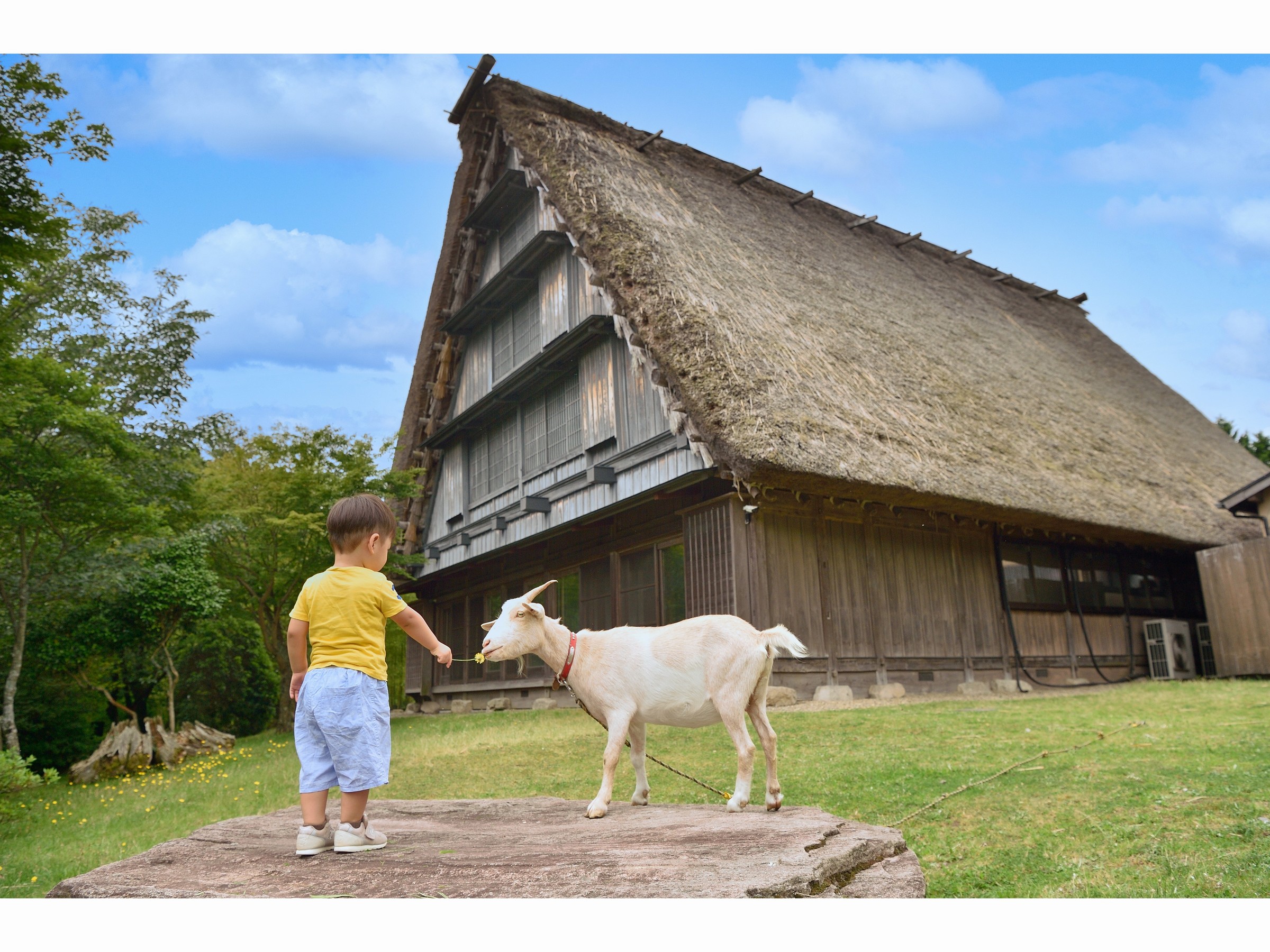 B2 サイズ 【 花咲まゆ 】清岡 ジュニアアイドル 等身大 風 大判 ポスター 超大判 【即日発送！】判 L 写真 A1 22-8-64